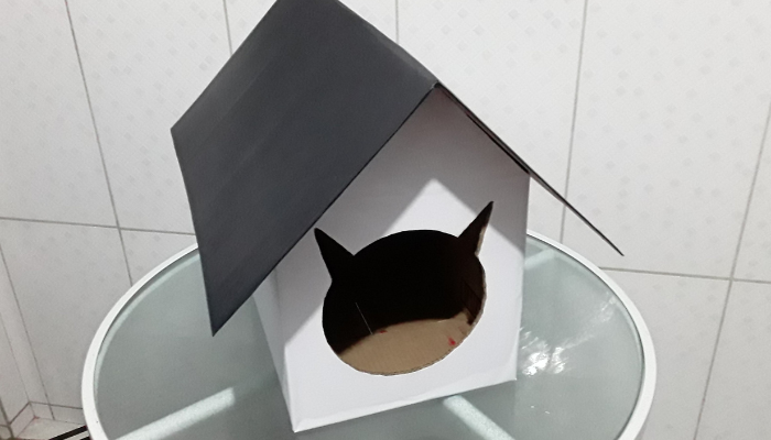 Veja Aqui como Fazer uma Linda Casa de Gato