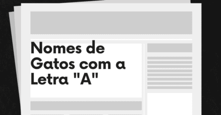 A Serenidade e Conforto do Nome de Gato Acalanto