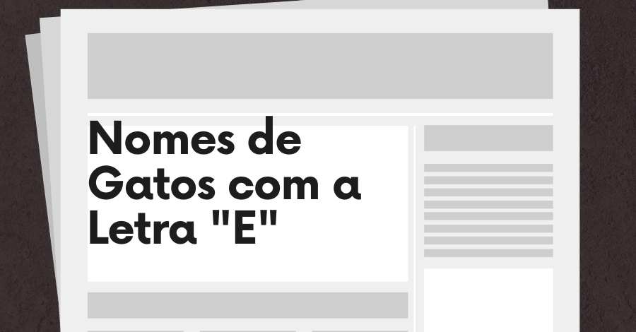 nome de gato eusébio