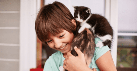 Nomes Zueiros Para Gatos: 30 Sugestões Engraçadas e Criativas